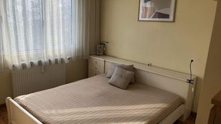 Dos dormitorios Alquileres, Vrabnitsa 2, Sofía (9)