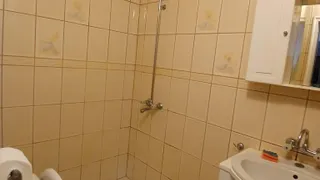 Two-bedroom Rentals, Strelbishte, Sofia (8)
