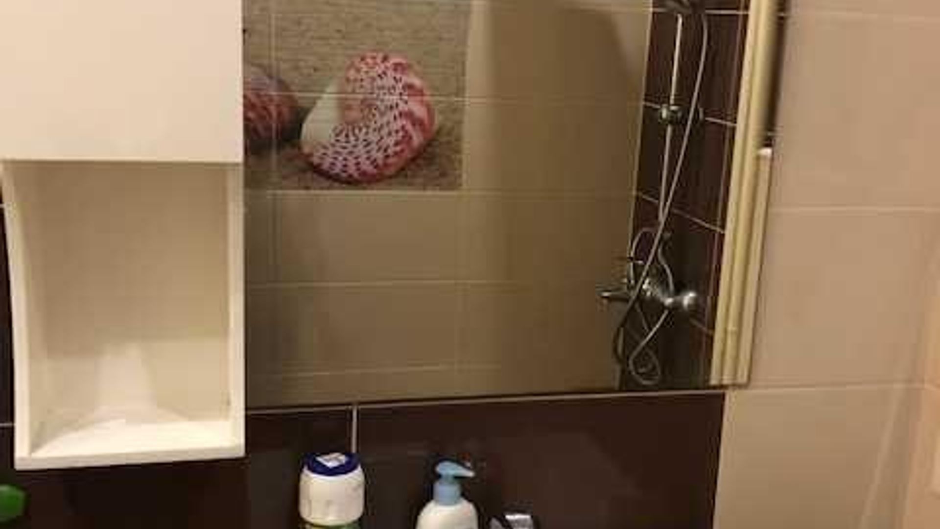 image_1787648191810_5322864194173302.jpeg