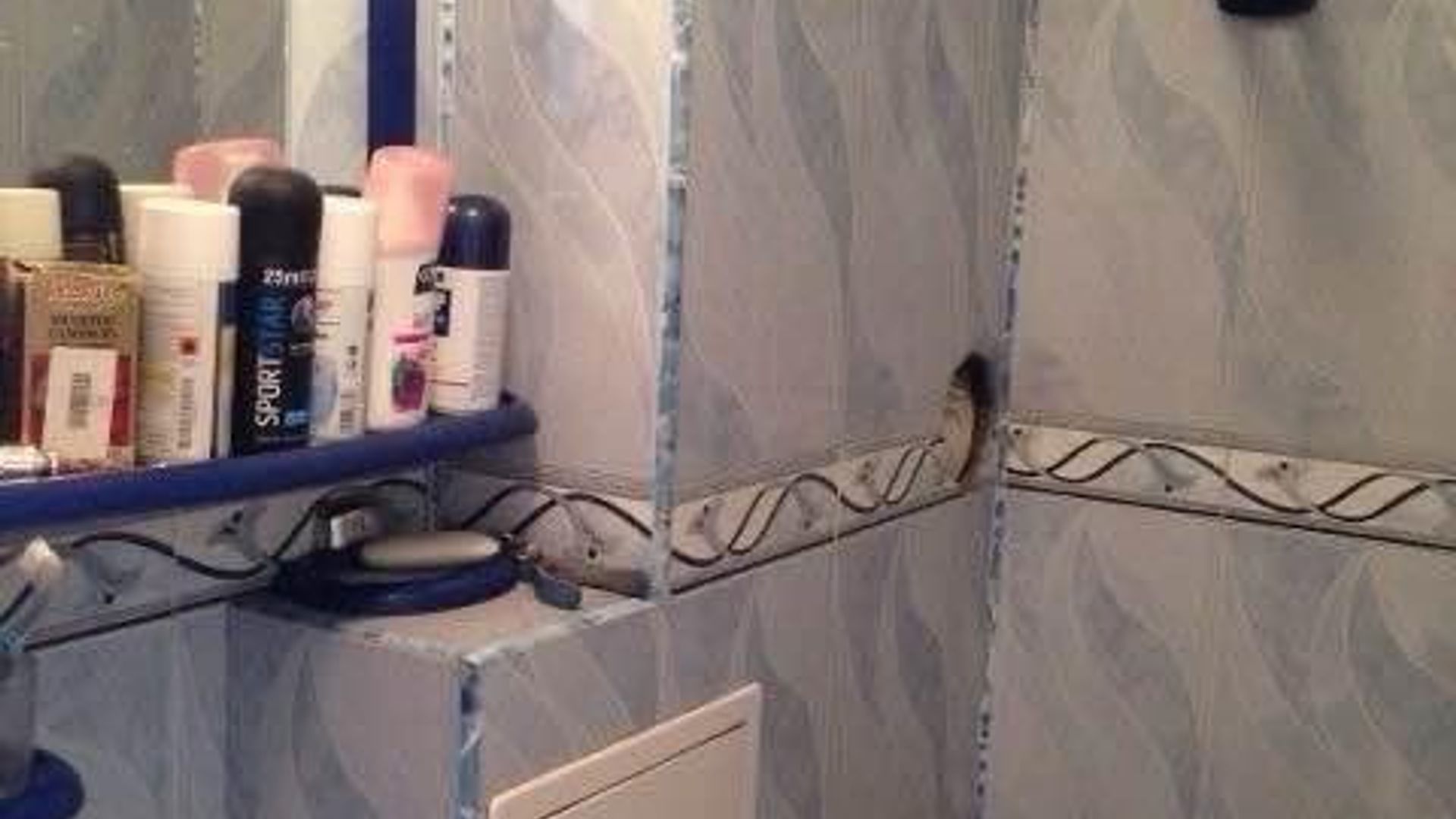 image_1747035870419_8107921598413839.jpeg