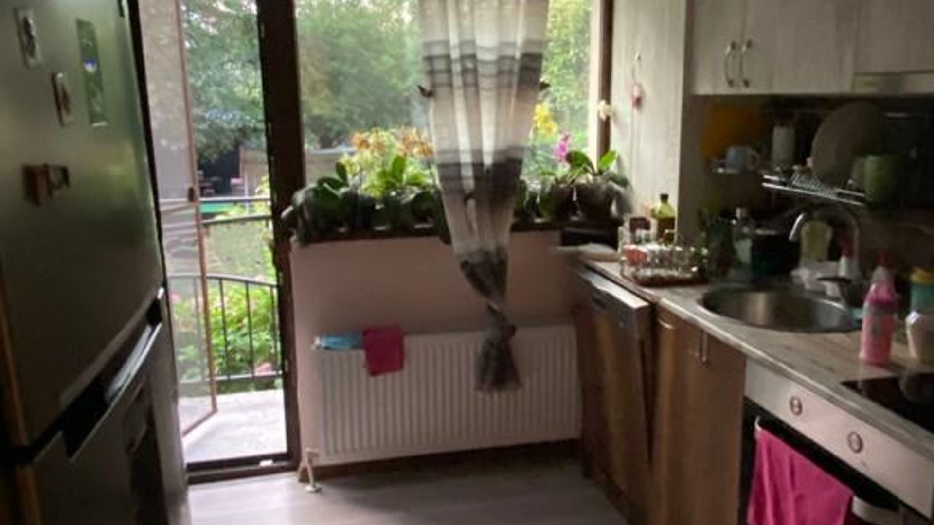 image_1759391838433_24800665408514844.jpeg