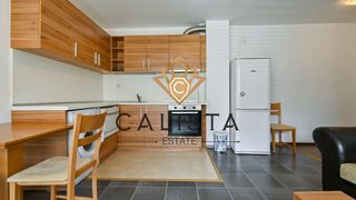 Two-bedroom Rentals, Monastery meadows, Sofia (4)