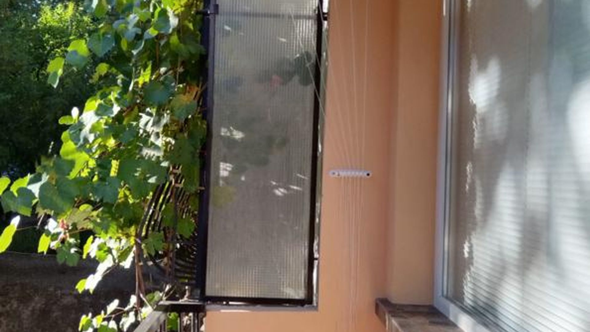 image_1757402149867_058962462709200913.jpeg