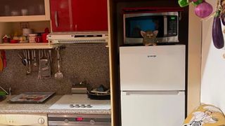 Двустаен апартамент под наем в центъра на София, 2227543 (7)
