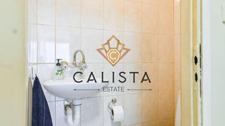 Тристаен Наеми, Белите брези, София (10)