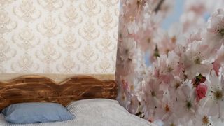 Тристаен Наеми, Редута, София (3)