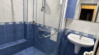 Three-room Rentals, Borovo, Sofia (8)