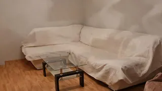 Two-bedroom Rentals, Sveta Troitsa, Sofia (2)