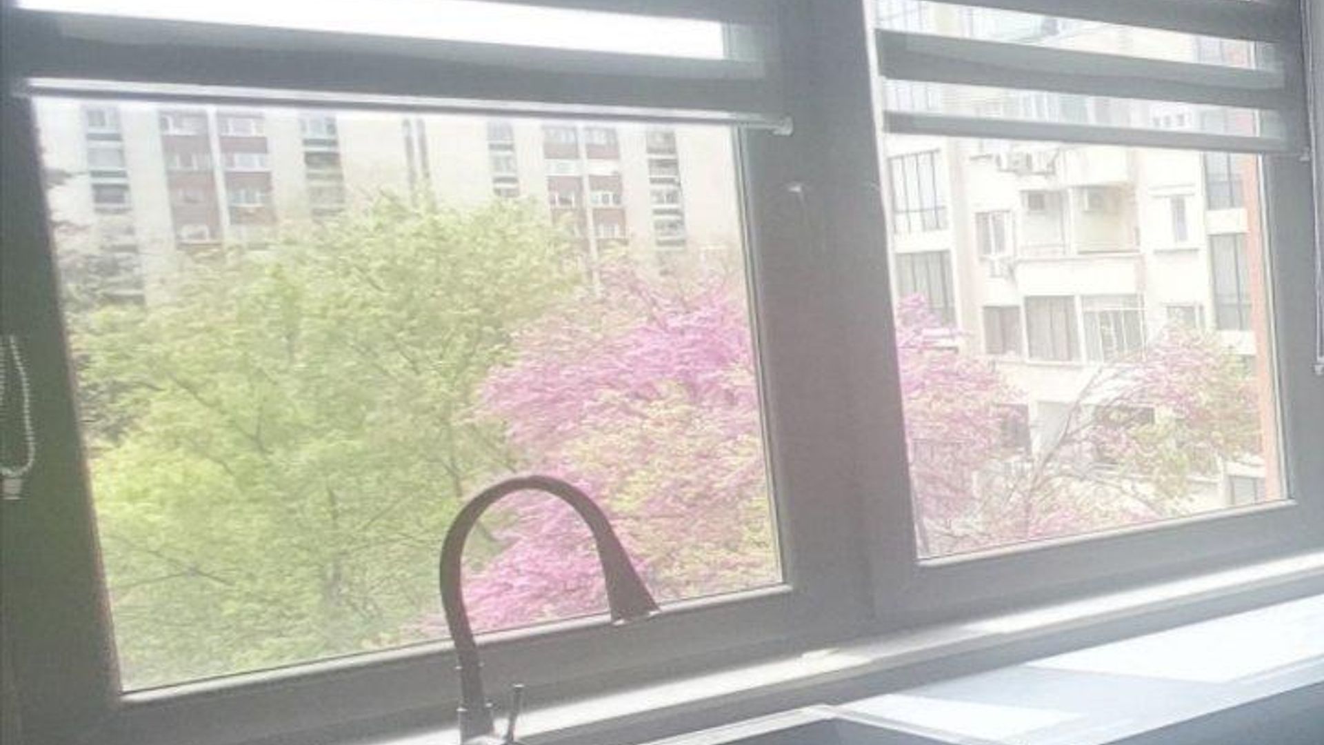 image_1749124344146_7453238280963428.jpeg