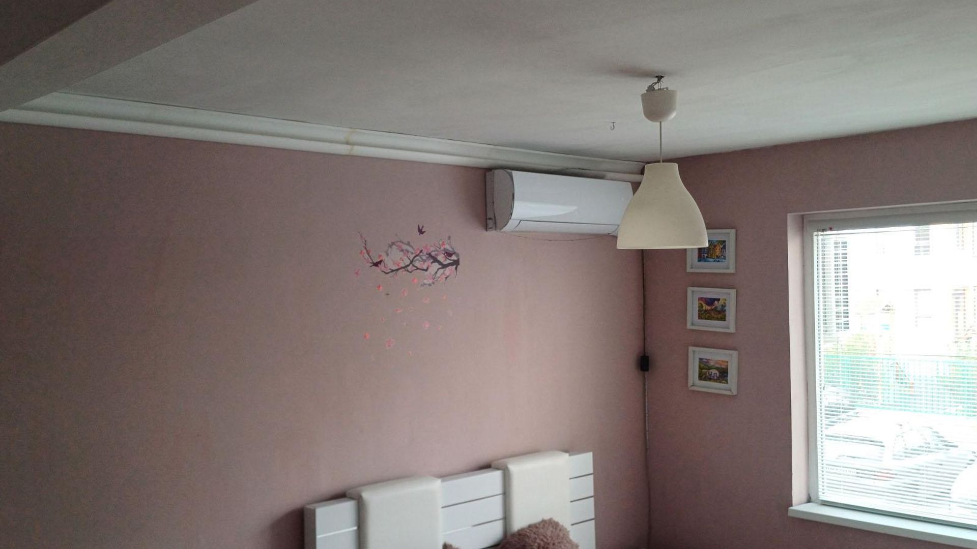 image_1748940673361_8676429379157986.jpeg