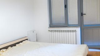 Двустаен Наеми, Център, Пловдив (3)