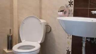 Two-bedroom Rentals, Ovcha Kupel, Sofia (8)