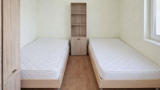 Тристаен Наеми, Белите брези, София (4)