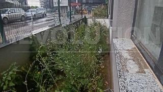 Двустаен Продажби, Малинова долина, София (7)