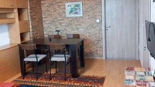 Ein-Zimmer-Zimmer Verleih, Die weißen Birken, Sofia (9)