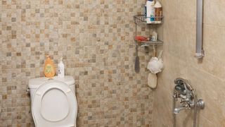 Vierzimmerwohnung Verleih, Der Kurshiyaka, Plovdiv (8)