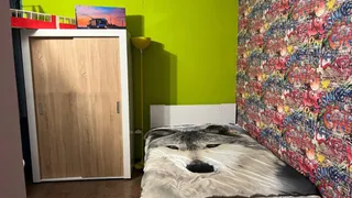 Четиристаен Наеми, Банишора, София (7)