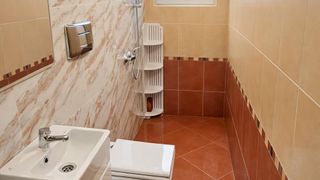 Етаж от къща Наеми, Мараша, Пловдив (6)