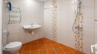 Тристаен Наеми, Център, Пловдив (9)
