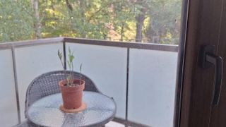 Δύο υπνοδωματίων Ενοικιάσεις, Ανατολή, Σοφία (7)