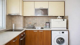 Dreizimmerwohnung Verleih, Möwe, Warna (5)