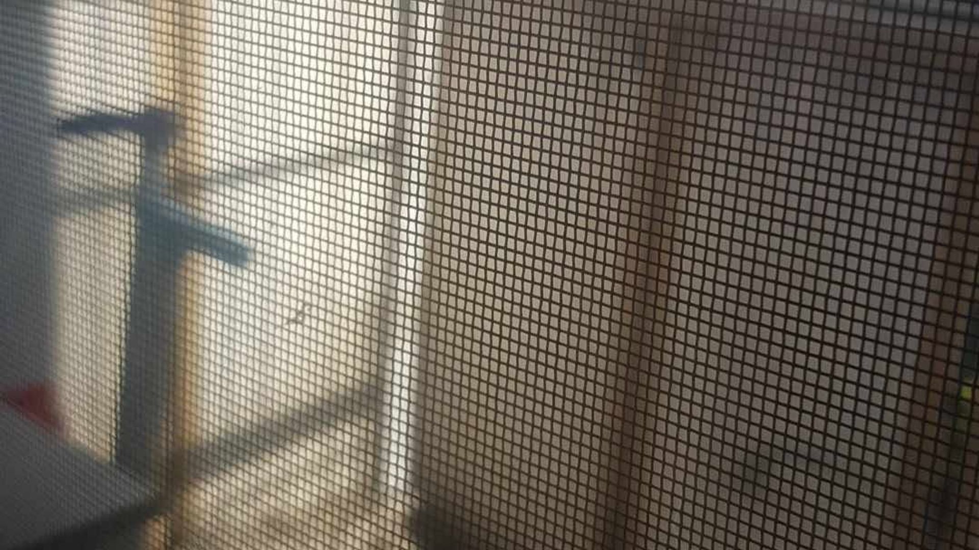 image_1785481400143_7228809329960617.jpg