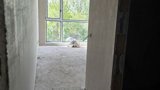 Тристаен Продажби, София (7)