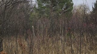 Парцел Продажби, София (4)