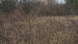 Парцел Продажби, София