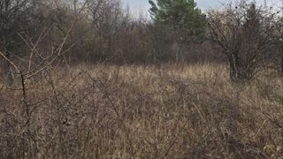 Парцел Продажби, София (3)