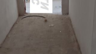 Тристаен Продажби, Пловдив (7)