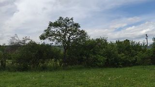 Къща Продажби, Перник (17)