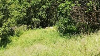 Парцел Продажби, Перник (4)