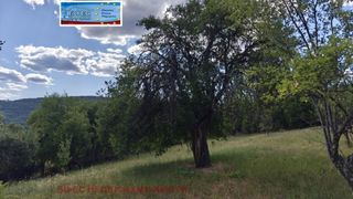 Парцел Продажби, Перник