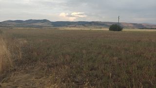 Парцел Продажби, Перник (4)