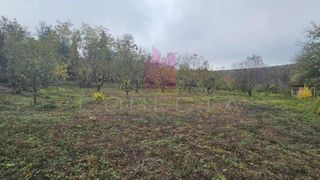 Къща Продажби, Русе (5)
