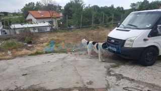 Магазин Продажби, Хасково (3)