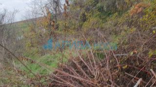 Парцел Продажби, Хасково (2)