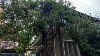 Двустаен Продажби, Кюстендил (17)