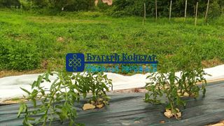 Земеделска земя Продажби, Кърджали (6)