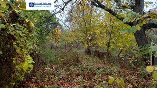 Парцел Продажби, Кърджали (13)