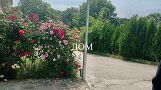 Тристаен Продажби, Кърджали (16)
