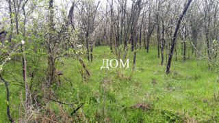 Парцел Продажби, Шумен (5)