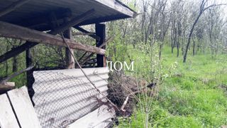 Парцел Продажби, Шумен (4)