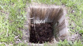 Парцел Продажби, Шумен (3)