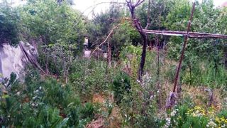 Парцел Продажби, Шумен (3)