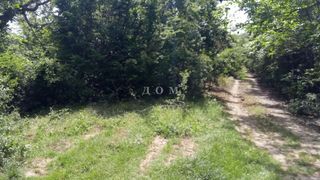 Complot Vânzări, Șumen (2)