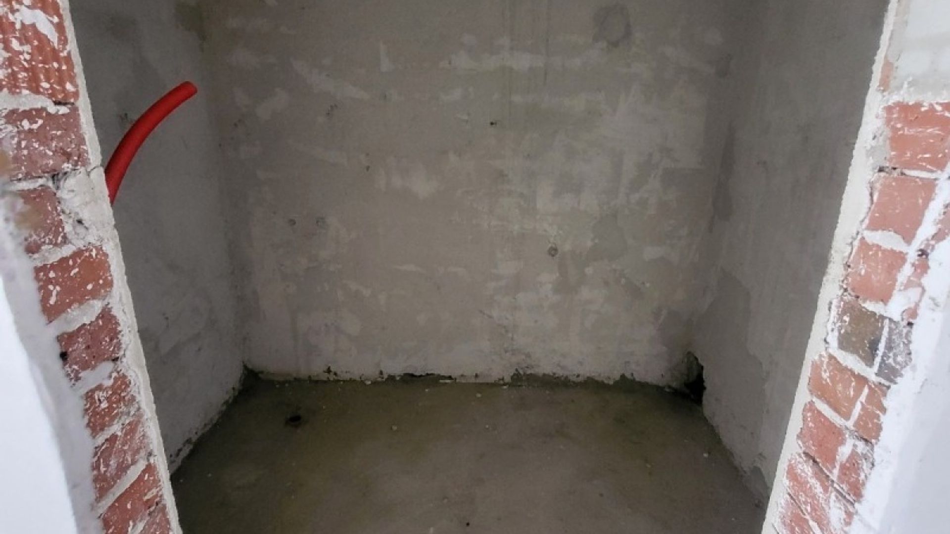 image_1757617264536_9525379456000536.jpg