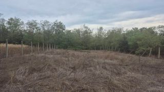 Парцел Продажби, Кърджали