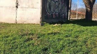 Паркомясто Продажби, Русе (4)